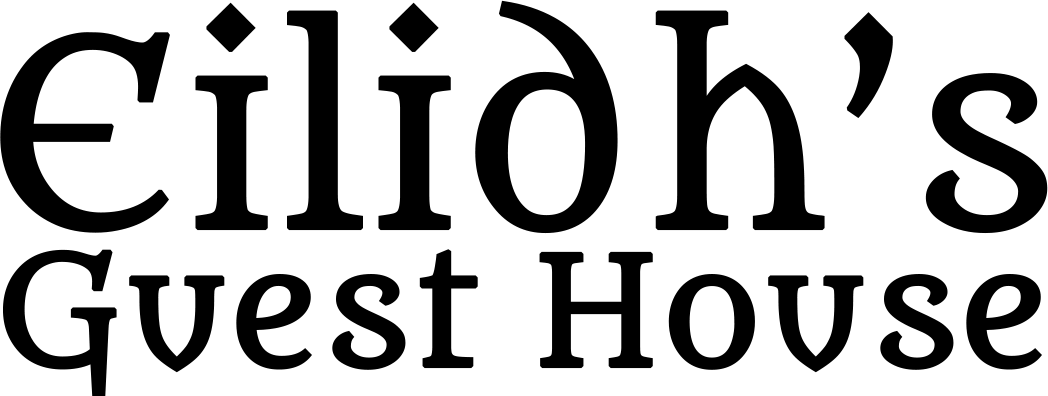 eilidhs.backlightdev.co.uk logo